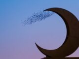 Silhouette of birds swirling around a crescent moon sculpture against a twilight sky.