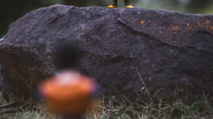 Dragon Ball: Chronologia seriali, filmów i gier – przewodnik po uniwersum