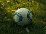 a soccer ball sitting on top of a lush green field