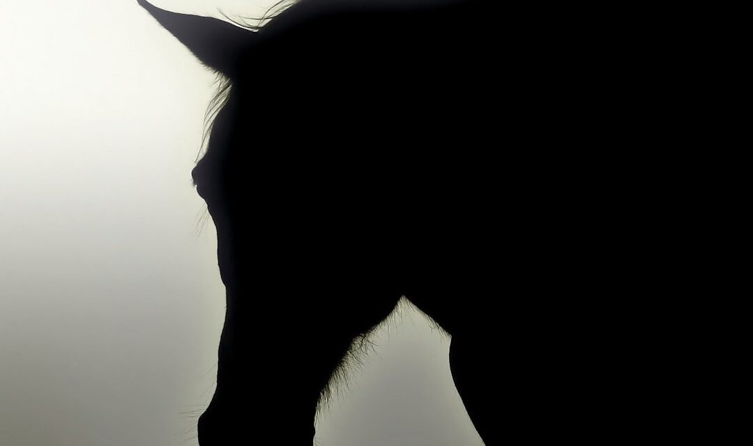 Dark Horse Comics: Poza Hellboyem i superbohaterami – przewodnik po najlepszych seriach science-fiction i fantasy, które warto poznać.