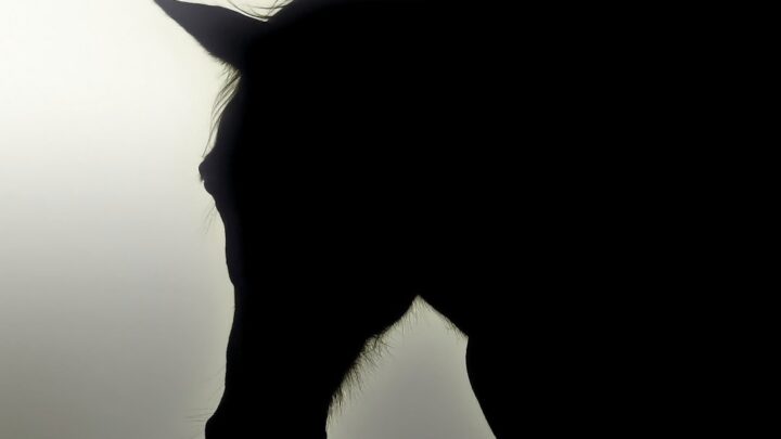 Dark Horse Comics: Poza Hellboyem i superbohaterami – przewodnik po najlepszych seriach science-fiction i fantasy, które warto poznać.