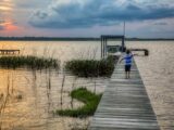 person in blue shirt walking on wooden dock during daytime