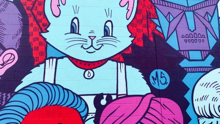 Najlepsze polskie komiksy dla początkujących dorosłych – od klasyki po współczesne hity, które warto odkryć