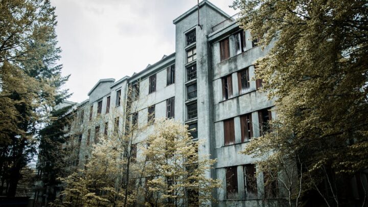 Batman: Tajemnice Arkham Asylum – Historia, psychologia pacjentów i rola w mitologii Gotham