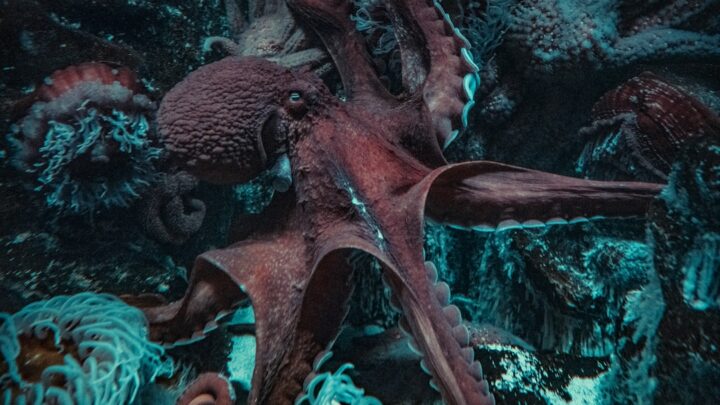 Doctor Octopus: Innowacje, strategie i kluczowe wynalazki najgroźniejszego przeciwnika Spider-Mana