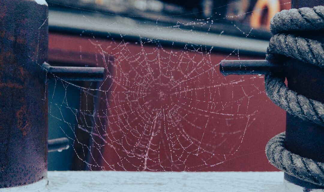 Sekrety treningu Spider-Mana: Jak Peter Parker rozwija swoje umiejętności poza pajęczymi mocami?