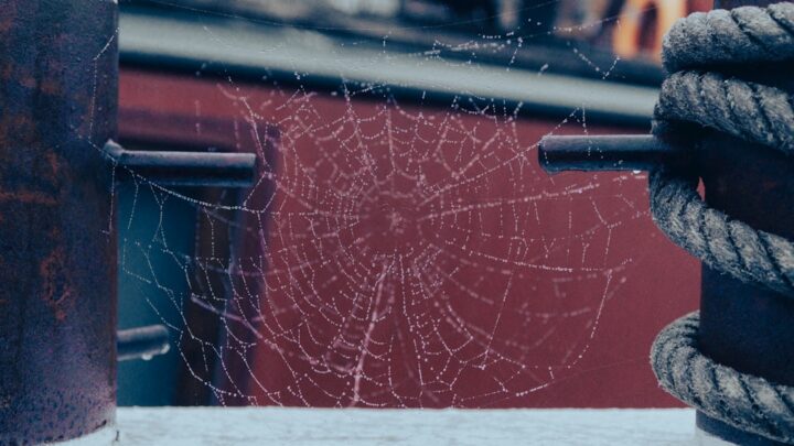 Sekrety treningu Spider-Mana: Jak Peter Parker rozwija swoje umiejętności poza pajęczymi mocami?