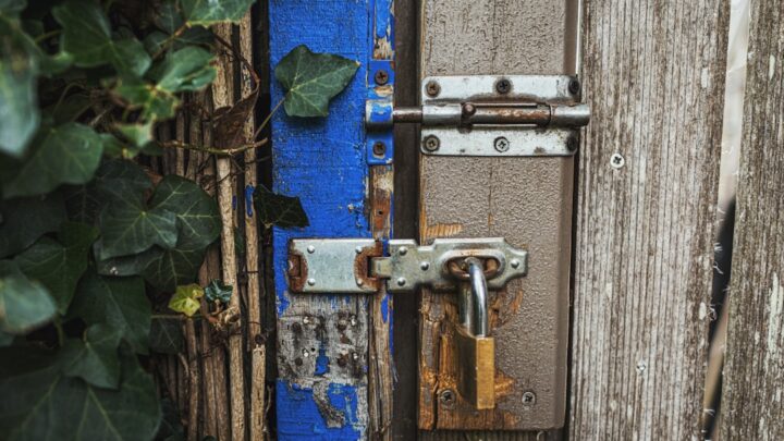 Blue Lock w szkole i na studiach: Jak 'egoistyczne’ podejście do nauki i rywalizacji może poprawić wyniki edukacyjne?