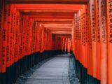 gray pathway between red and black wooden pillar