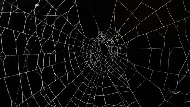 Właściwości pajęczej sieci Spider-Mana: Jak syntetyczne biopolimery Petera Parkera mogą zrewolucjonizować opakowania i materiały budowlane w Polsce?